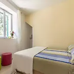 Bova Split